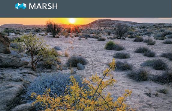 Marsh Namibia | Namibia Tourism Expo 2015